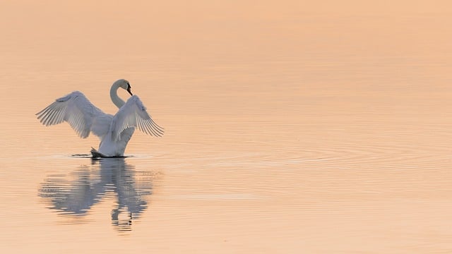 历史上的今天 (5月16日)